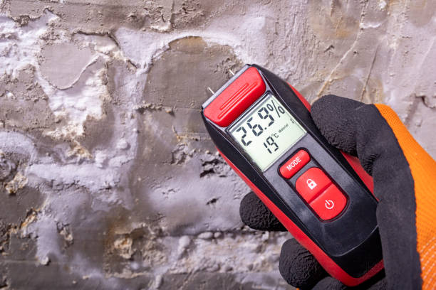 Best Mold Remediation for Schools in New Miami, OH