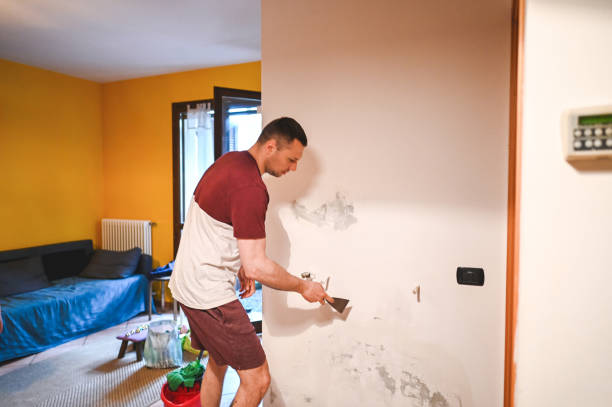 Best Post-Remediation Services in New Miami, OH